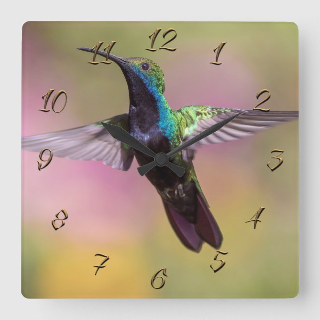 Hummingbird Square Wall Clock (Front)