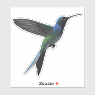 Hummingbird Sticker