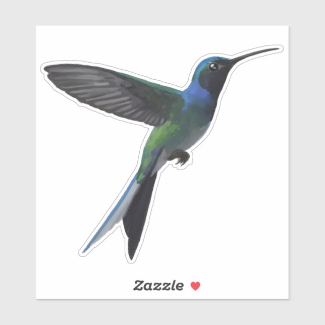 Hummingbird Sticker (Sheet)