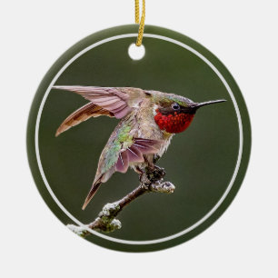 Hummingbird Stretches Ceramic Ornament