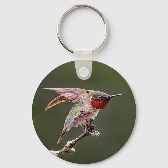 Hummingbird Stretches  Keychain (Front)