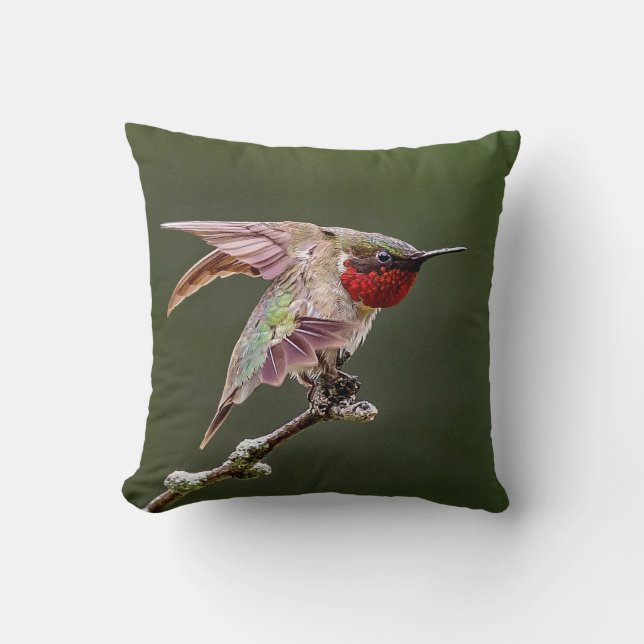 Hummingbird Stretches  Throw Pillow (Front)