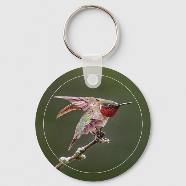 Hummingbird Stretches W/Border Keychain (Front)
