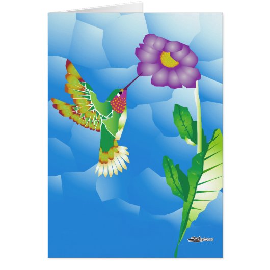 Hummingbird:  Stylized Cards (Front)