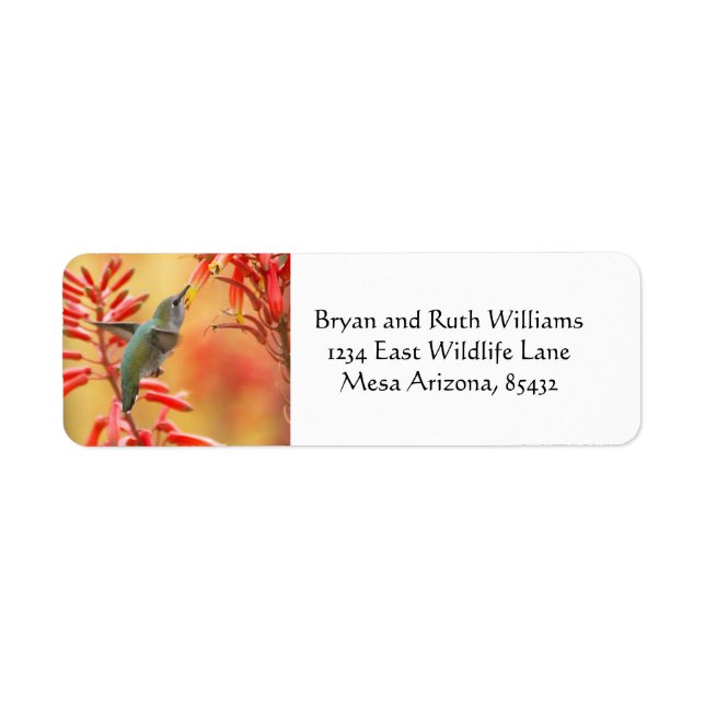 Hummingbird surrounded by red yucca label (Front)