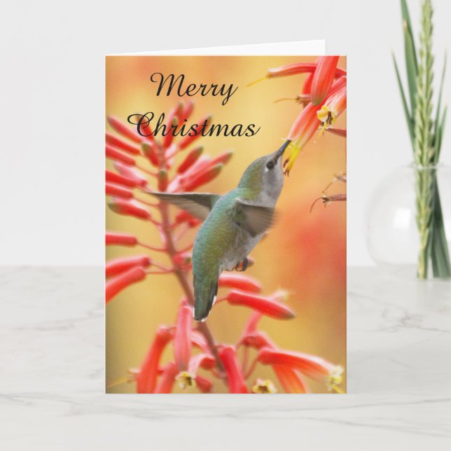 Hummingbird surrounded by yucca, Merry Christmas Holiday Card (Front)