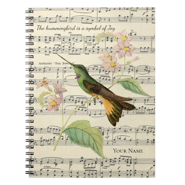 hummingbird symbol of joy gratitude notebook (Front)