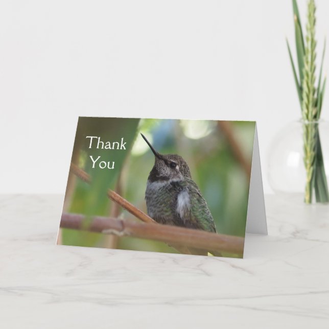 Hummingbird thank you card (Front)