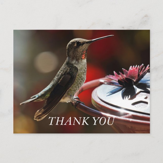 Hummingbird Thank You Card (Front)