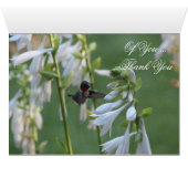 Hummingbird Thank You Card (Inside Horizontal (Bottom))
