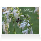 Hummingbird Thank You Card (Inside Horizontal (Top))