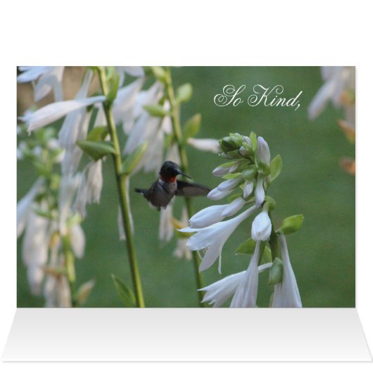Hummingbird Thank You Card (Inside Horizontal (Top))