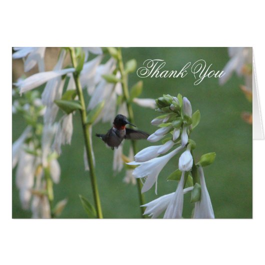 Hummingbird Thank You Card (Front Horizontal)
