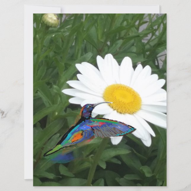 Hummingbird themed Scrapbook paper  (Front)