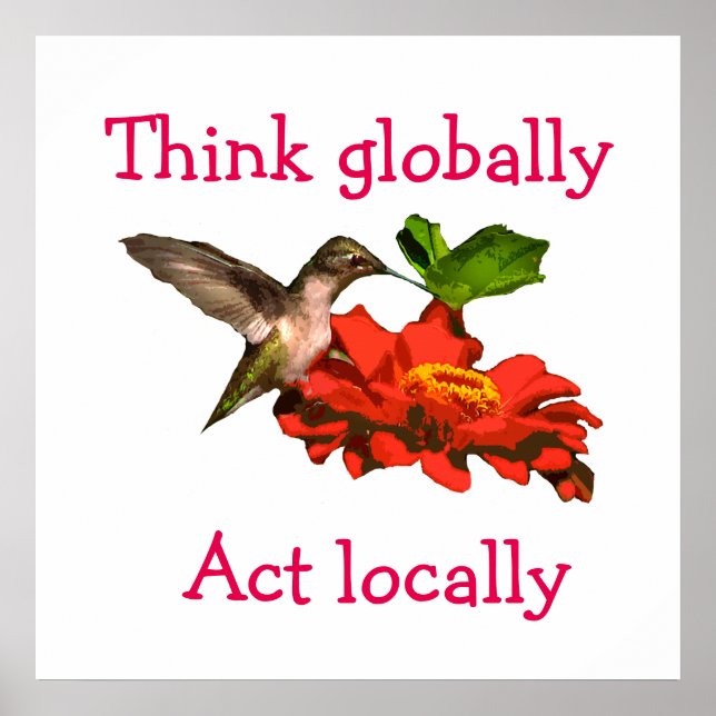Hummingbird Think Globally Act Locally Red Poster (Front)