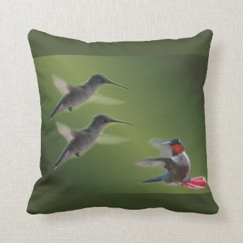Hummingbird Throw Pillow Customize by MakaraPhotos at Zazzle