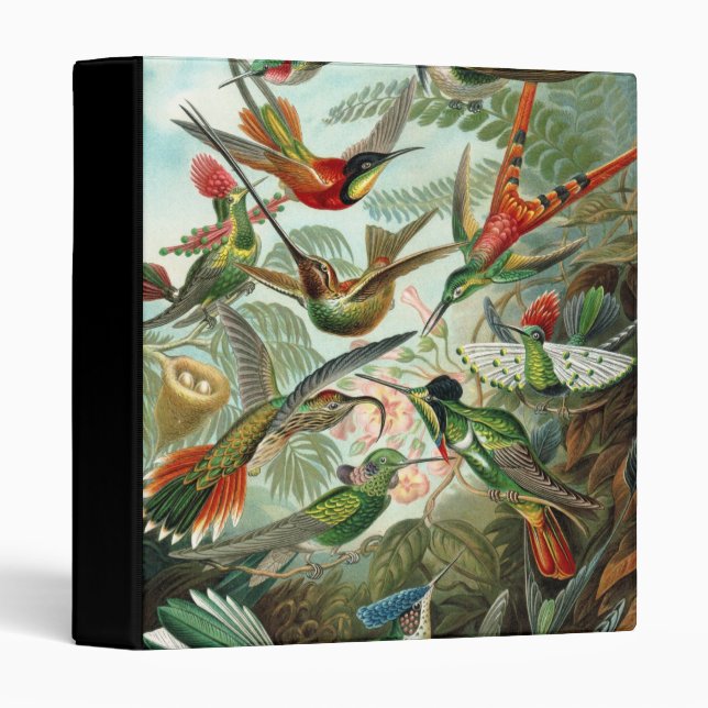 Hummingbird (Trochilidae) by Haeckel Binder (Front/Spine)