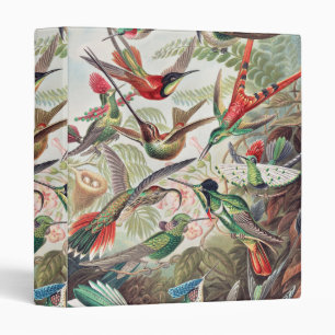 Hummingbird, Trochilidae Kolibris by Ernst Haeckel 3 Ring Binder