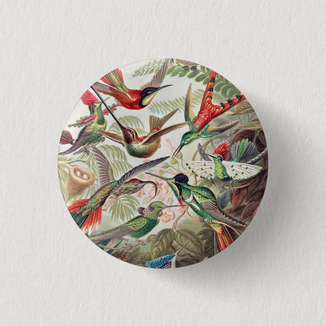 Hummingbird, Trochilidae Kolibris by Ernst Haeckel Button (Front)