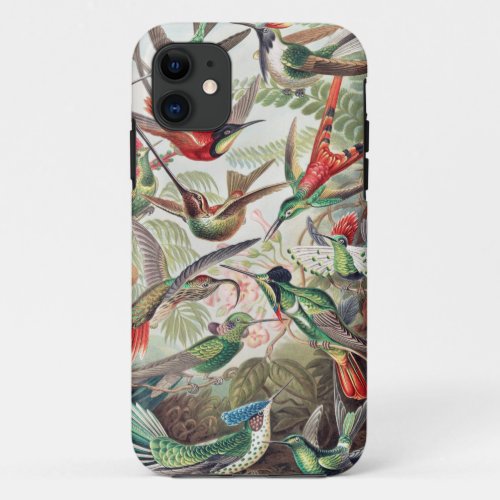 Hummingbird Trochilidae Kolibris by Ernst Haeckel iPhone 11 Case