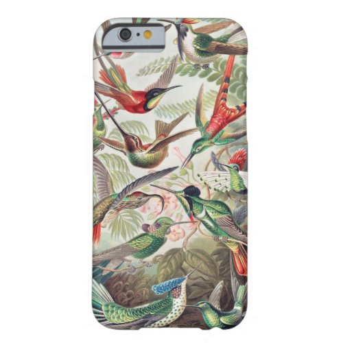 Hummingbird Trochilidae Kolibris by Ernst Haeckel Barely There iPhone 6 Case