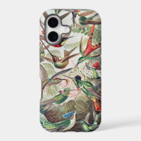 Hummingbird, Trochilidae Kolibris by Ernst Haeckel