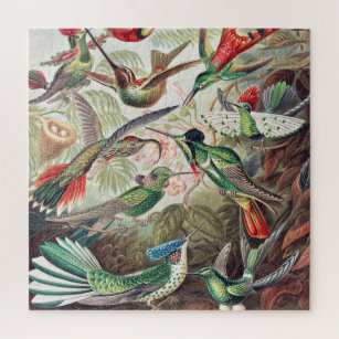 Hummingbird, Trochilidae Kolibris by Ernst Haeckel Jigsaw Puzzle