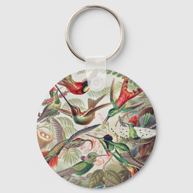 Hummingbird, Trochilidae Kolibris by Ernst Haeckel Keychain (Front)