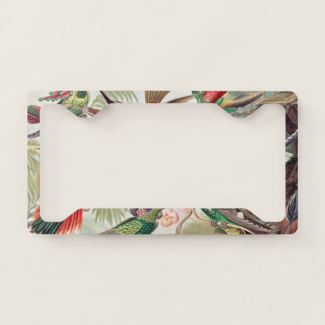 Hummingbird, Trochilidae Kolibris by Ernst Haeckel License Plate Frame (Front)