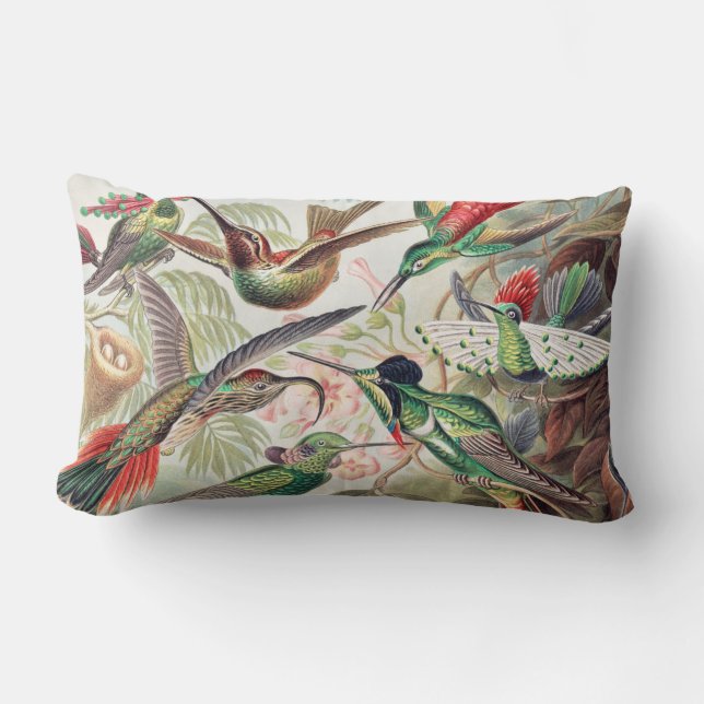 Hummingbird, Trochilidae Kolibris by Ernst Haeckel Lumbar Pillow (Front)