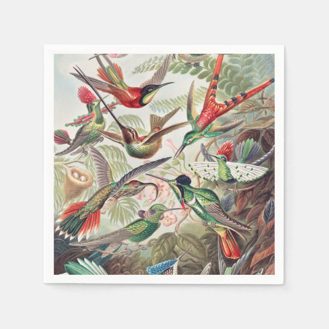 Hummingbird, Trochilidae Kolibris by Ernst Haeckel Napkins (Front)