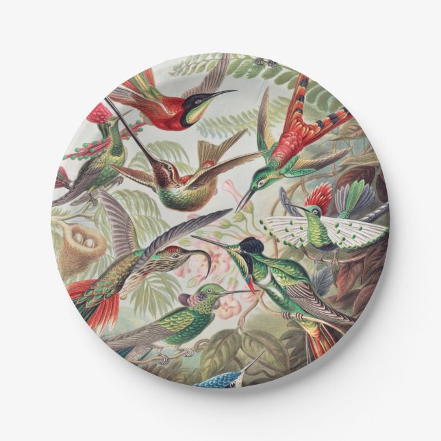 Hummingbird, Trochilidae Kolibris by Ernst Haeckel Paper Plates (Front)