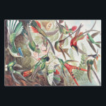 Hummingbird, Trochilidae Kolibris by Ernst Haeckel Wrapping Paper Sheets<br><div class="desc">Hummingbird,  Trochilidae Kolibris by Ernst Haeckel Wrapping Paper Sheet</div>