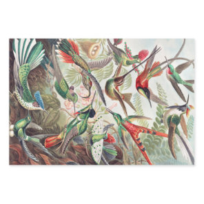Hummingbird, Trochilidae Kolibris by Ernst Haeckel Wrapping Paper Sheets