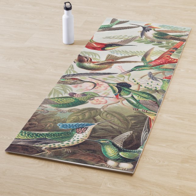 Hummingbird, Trochilidae Kolibris by Ernst Haeckel Yoga Mat (In Situ)