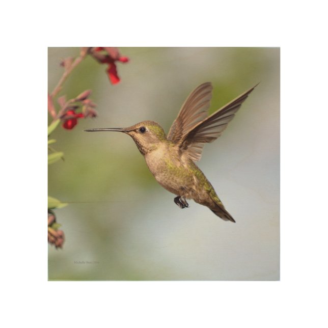 Hummingbird Wall Art (Front)