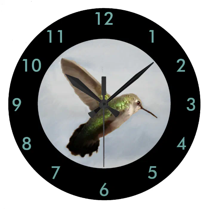 Hummingbird Black Frame Wall Clock F23 