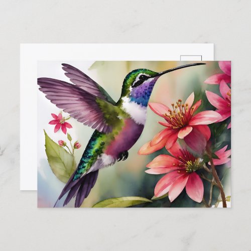 Hummingbird Watercolor Floral Art Postcard