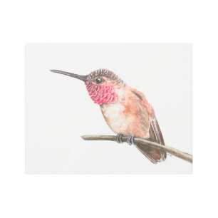 Hummingbird watercolor metal print