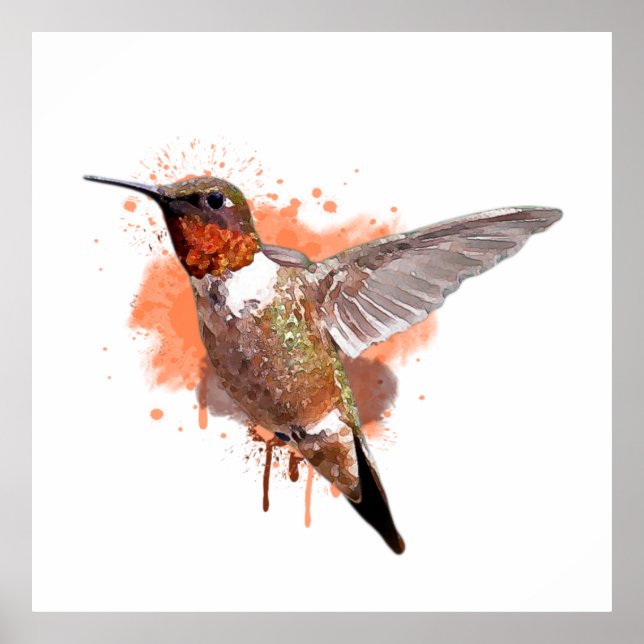 Hummingbird Watercolor Painting  Poster (Front)