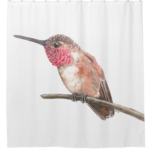 Hummingbird watercolor shower curtain (Front)