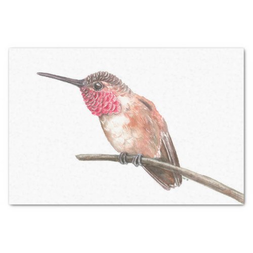 Hummingbird watercolor tissue paper