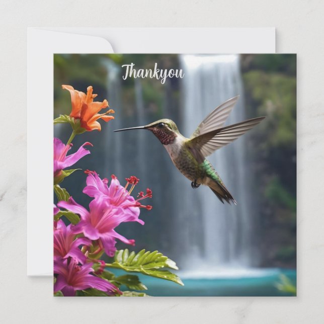 Hummingbird Waterfall Park, Thank You Card (Front)