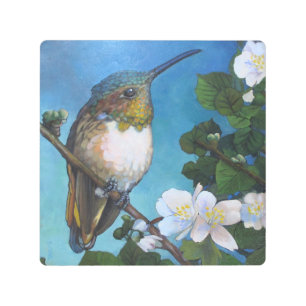 Hummingbird & White Blossoms Botanical Art canvas