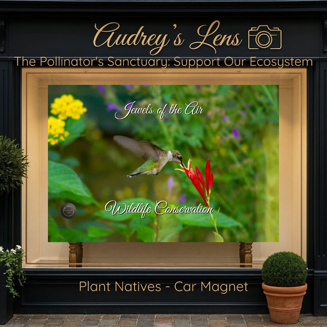 Hummingbird & Wildflower "Plant Natives"  Car Magnet (Creator Uploaded)