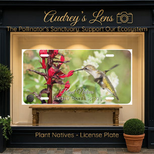 Hummingbird & Wildflower "Plant Natives"  License Plate