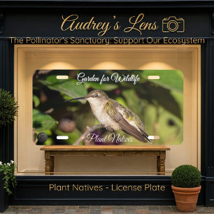 Hummingbird & Wildflower "Plant Natives"  License Plate