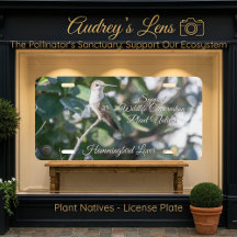 Hummingbird & Wildflower "Plant Natives" 