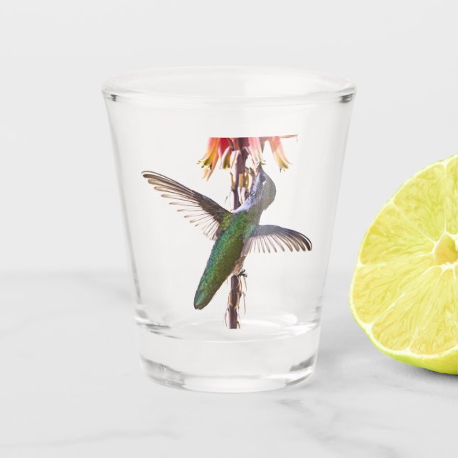 Hummingbird wings shot glass (Front)