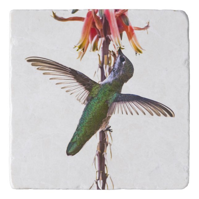 Hummingbird wings trivet (Front)